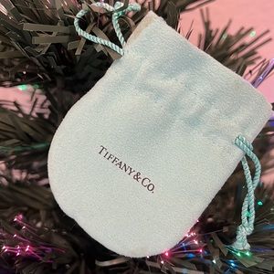 TIFFANY JEWELERY BAG